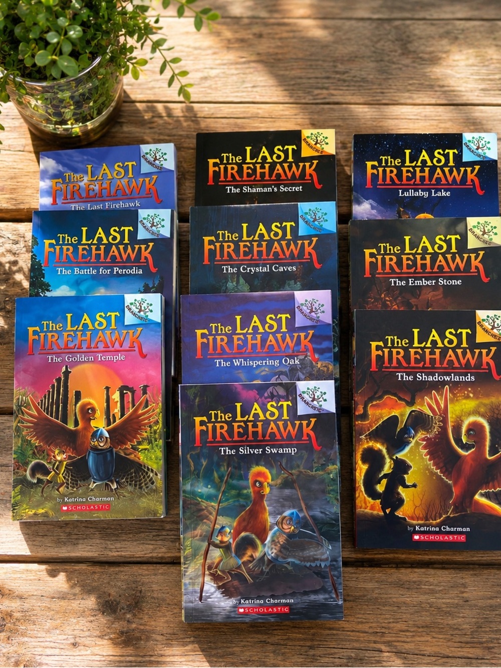 The Last Firehawk Complete Series 1–10 Chapter Books Scholastic Fantasy Set